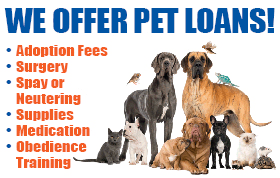 We Offer Pet Loans